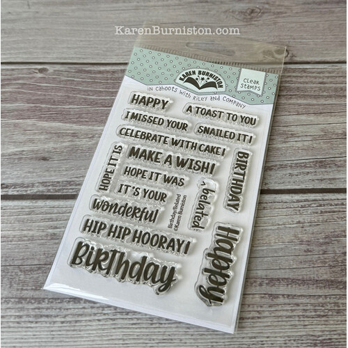 Karen Burniston Birthday/Belated Sentiments Clear Stamp Set